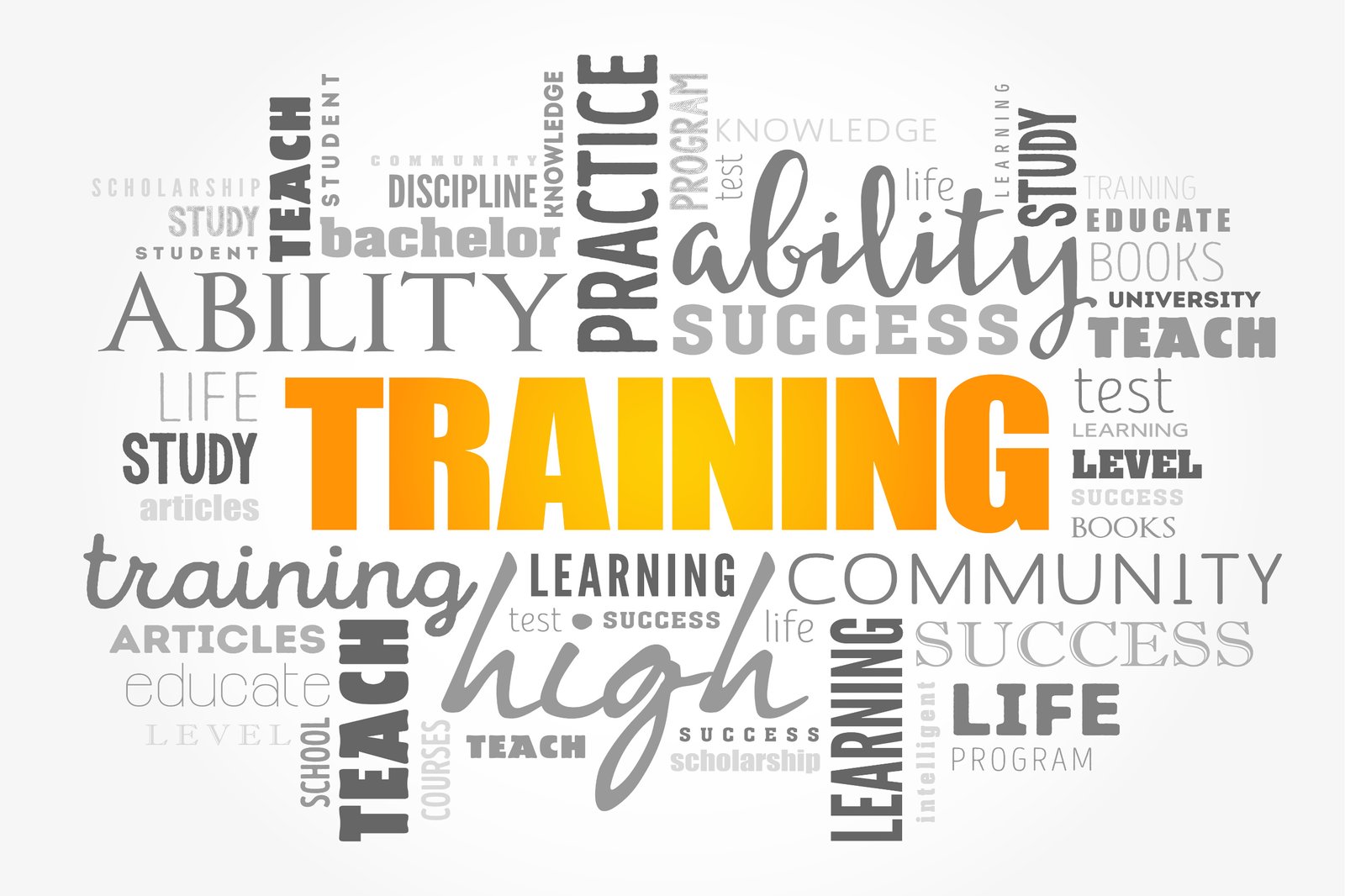 AdobeStock_280716405_2560x1706